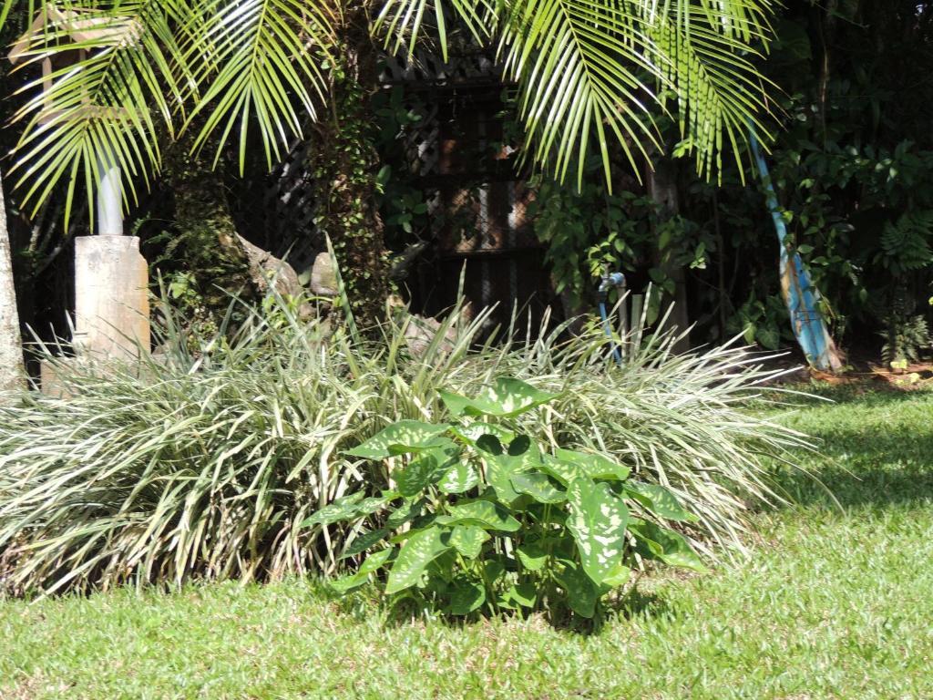 Pousada Villa Maria Ilha do Mel Esterno foto